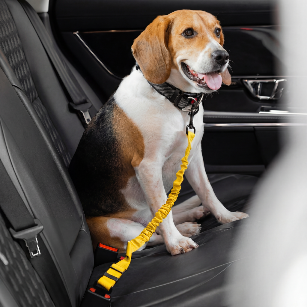 Dog Seatbelt Dog Adjustable Car Seat Belt Clip Tether Travel Nylon