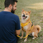 Dog Harness Reflective Adjustable No-Pull Outdoor