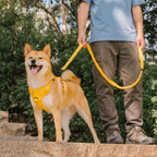 Dog Harness Reflective Adjustable No-Pull Outdoor