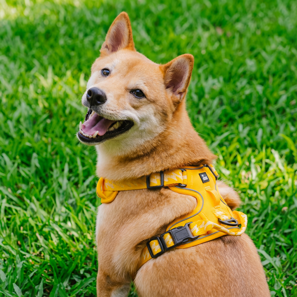 Dog Harness Reflective Adjustable No-Pull Outdoor