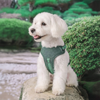 Dog Harness Dog No-Pull Adjustable Fabric Reflective Leash Attachment