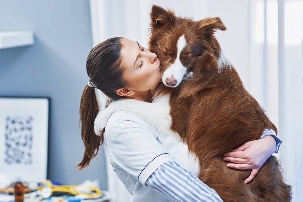 Pets Grooming